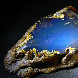 Chihlimbar Dominican